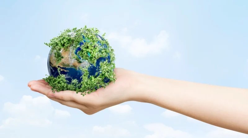 Sustainability