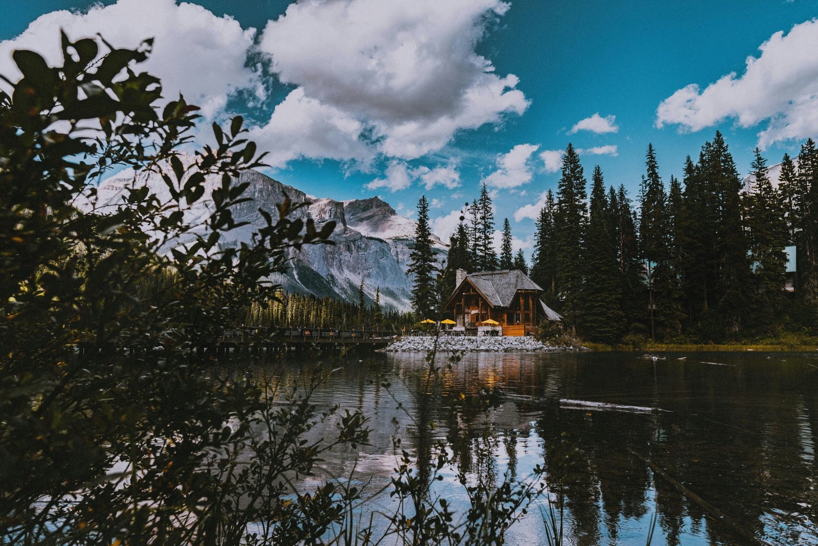 matthew-sichkaruk-hUUIPXXMTeM-unsplash matthew-sichkaruk-hUUIPXXMTeM-unsplash